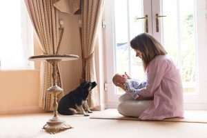 Exeter newborn photographer