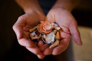 middle coombe farm wedding