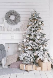 exeter baby photographer