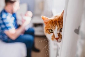 baby photos exeter devon