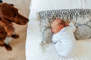 baby photographer exeter