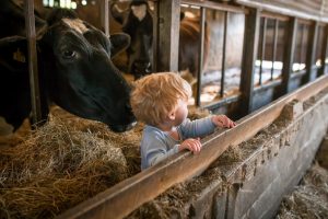 baby photographer exeter