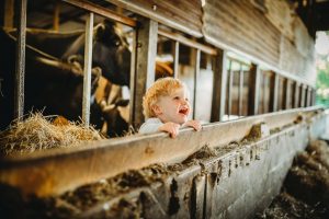 baby photographer exeter