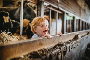 baby photographer exeter