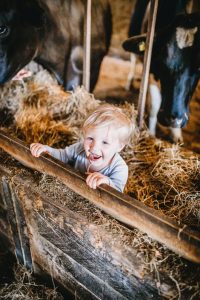 baby photographer exeter