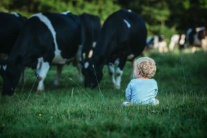 baby photographer exeter
