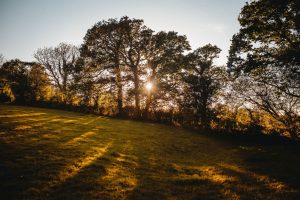 baby photographer exeter