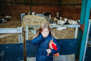 family photographer near me