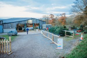 family photographer near me