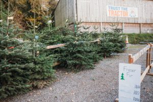 family photographer near me