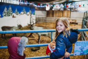 family photographer near me