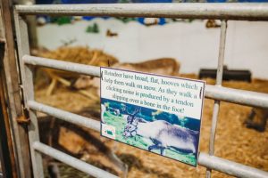 family photographer near me