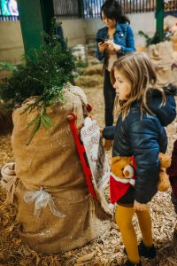 family photographer near me