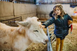 family photographer near me