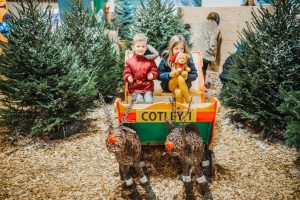 family photographer near me