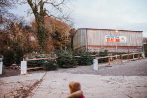 family photographer near me