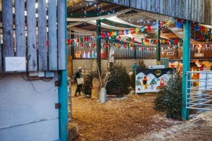 family photographer near me