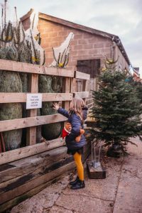 family photographer near me