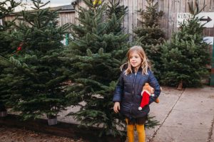 family photographer near me