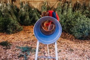 family photographer near me