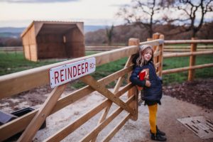 family photographer near me