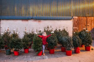 family photographer near me