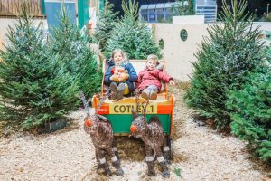 family photographer near me