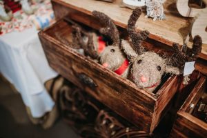 family photographer near me