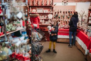 family photographer near me