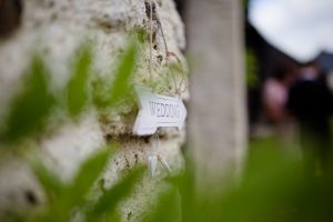 wedding photographer exeter devon