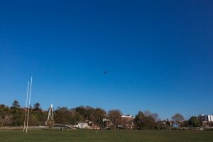 family photographer devon exeter