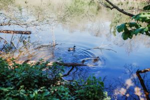 family photographer devon exeter