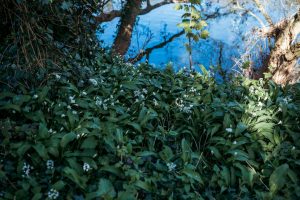 family photographer devon exeter