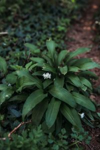 family photographer devon exeter