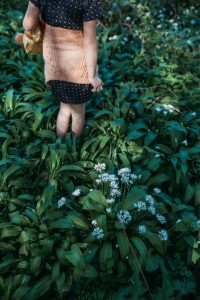 family photographer devon exeter