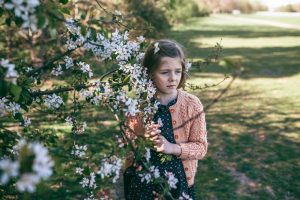 family photographer devon exeter