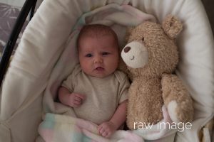 exeter children baby photographer 