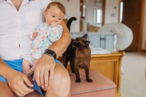 newborn photographer near me