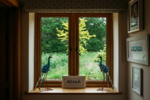 newborn photographer near me